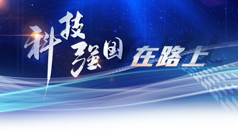 解码人工智能：实战中常用模型参数解析
